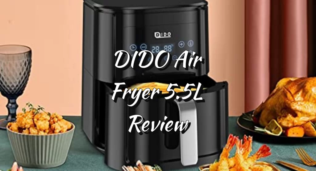 DIDO Air Fryer 5.5L Review In Full
